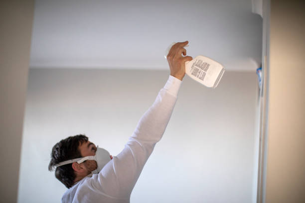 Best Certified Mold Removal  in Anchorage, KY