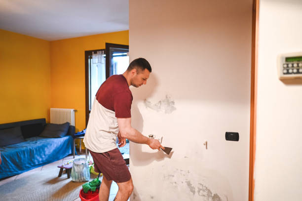 Best Certified Mold Removal  in Anchorage, KY